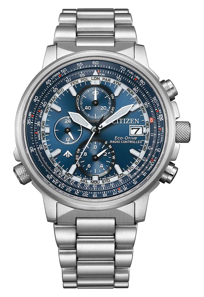 Citizen Promaster (AT8300-58L)
