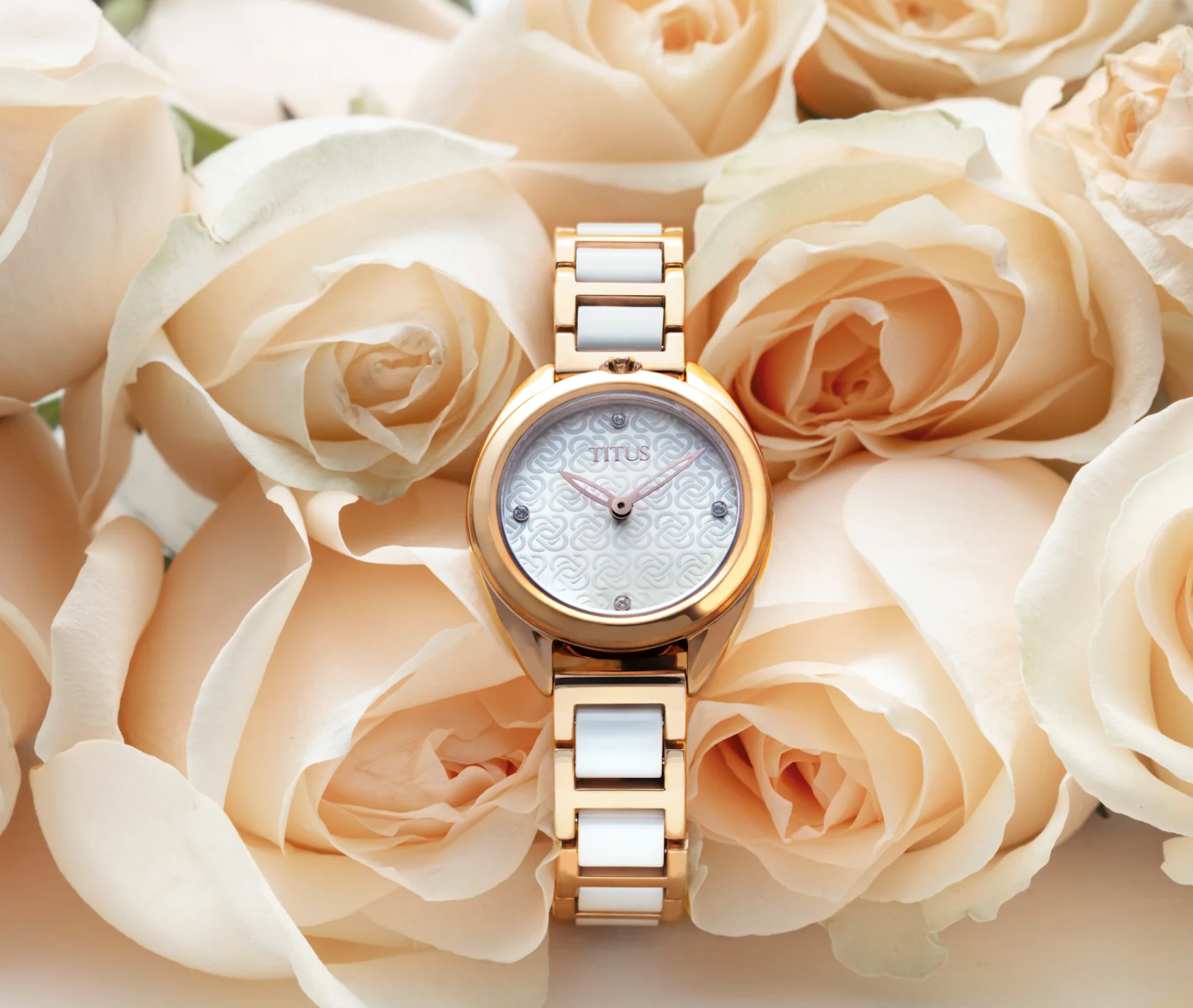 Ring & Knot 2 Hands Quartz Stainless Steel with Ceramic Watch (W06-03172-003) - Image 5